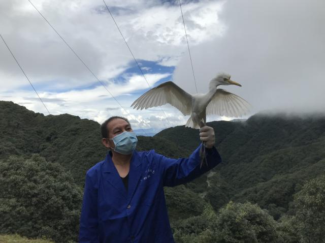 哀牢山拍到大量珍稀野生动物 生物“基因库”展现奇迹