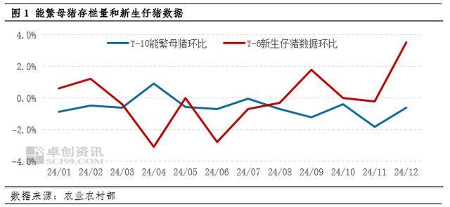 四季度猪价决定养猪业明年是肥是瘦