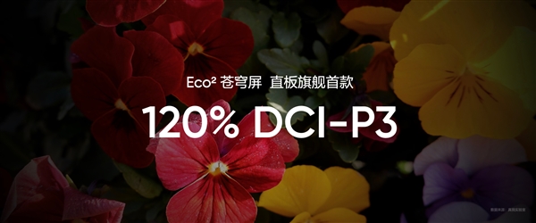 号称万元内最好的手机屏幕！真我全球首发Eco2苍穹屏