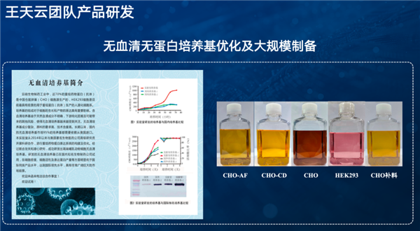 百年传奇！一只中国小仓鼠 影响全球