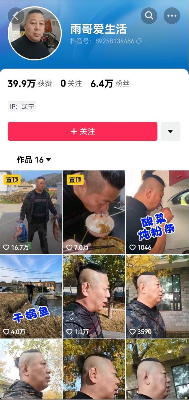 不能让东北雨宙再有平行宇宙 杜绝高仿账号乱象