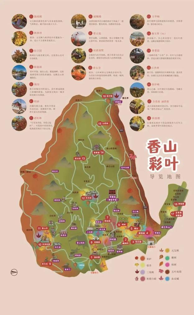 北京秋日红叶氛围感已拉满 层林尽染赏秋时