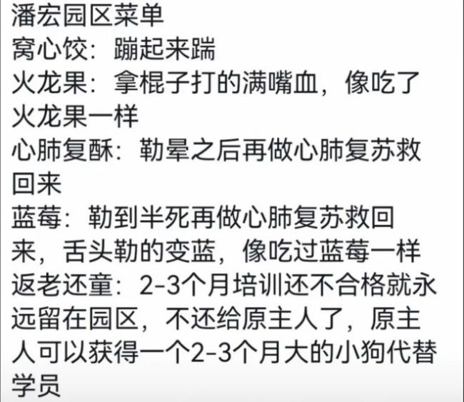 抽象训狗直播间成网友的电子榨菜 直播鉴狗“火”出圈