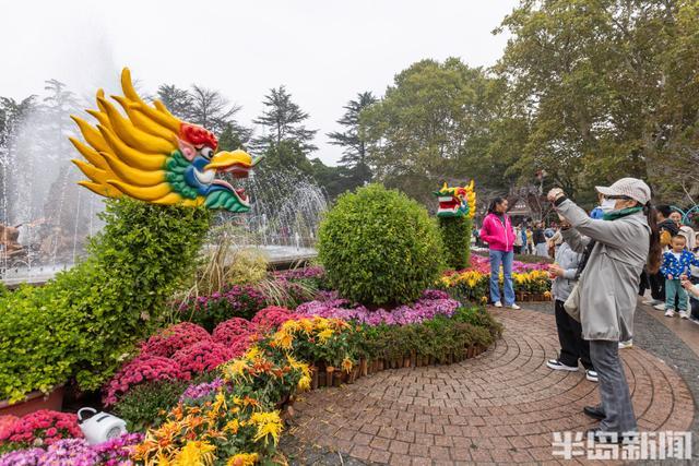 太平山公园彩菊绽放游客纷至 秋色迷人游人醉