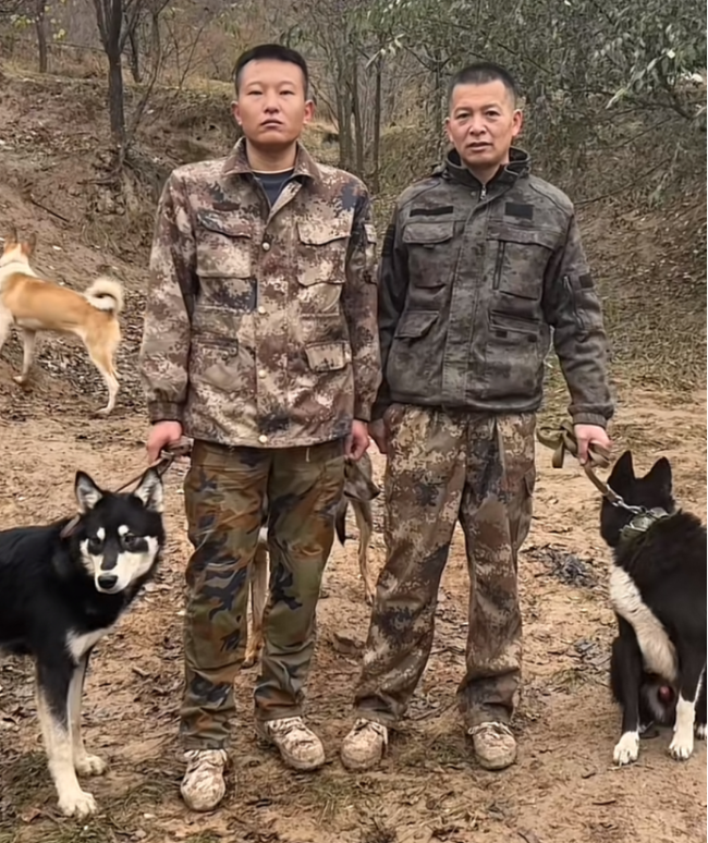 护农队卖两套房养猎犬抓野猪 守护农田安宁