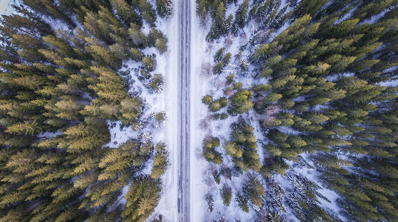 让冷资源热起来冰雪经济逐步升温